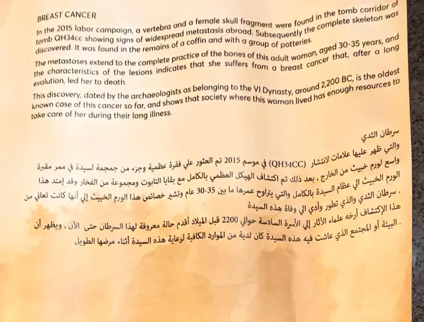 Reconnecting With Your Body After Trauma